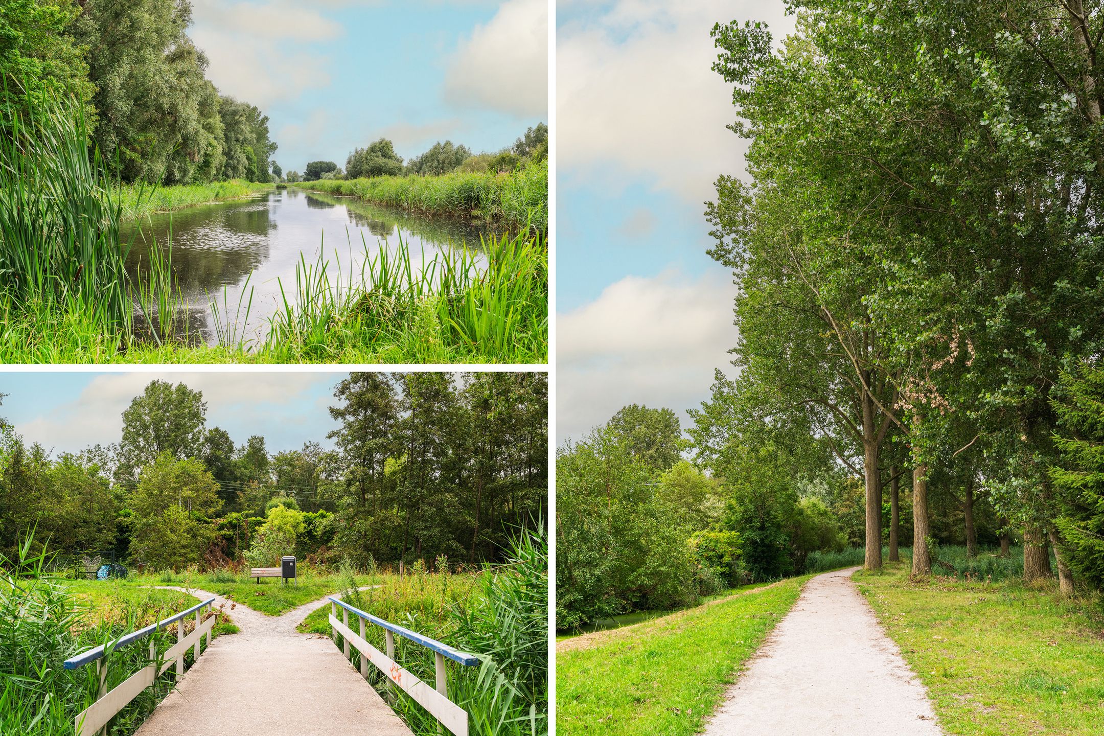 Foto 48 van Tobias Asserlaan 401