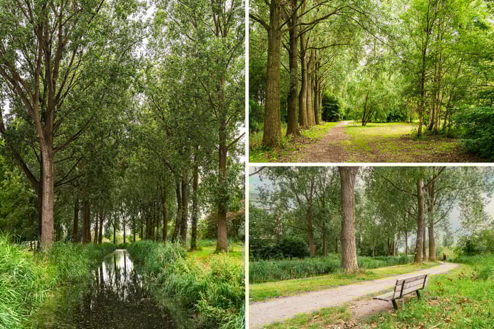 Foto 49 van Tobias Asserlaan 401