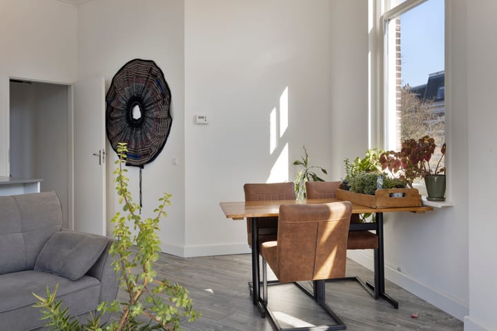 Foto 11 van Pontanusstraat 47-A