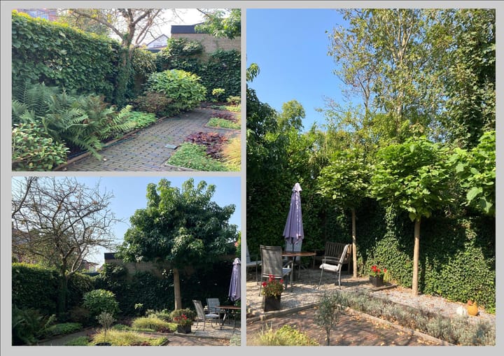 Foto 32 van Juffermansstraat 15