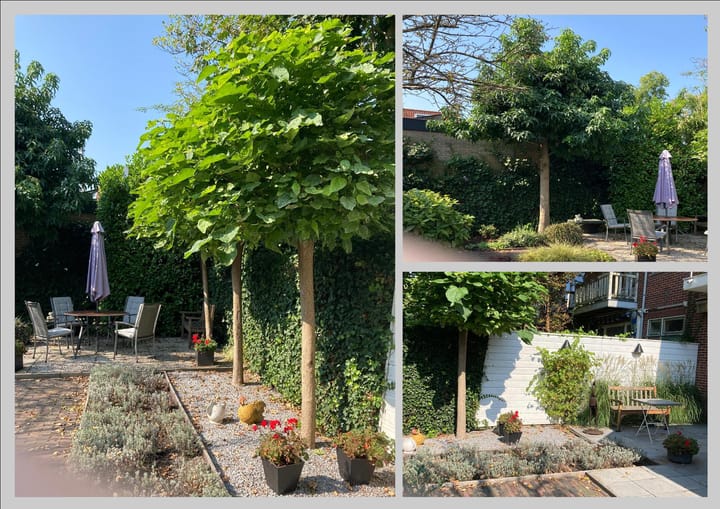 Foto 33 van Juffermansstraat 15