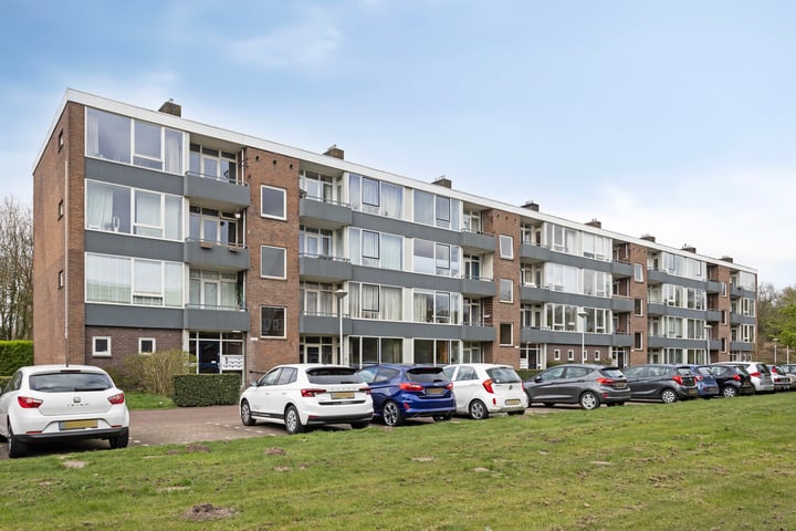Ruusbroecstraat 49