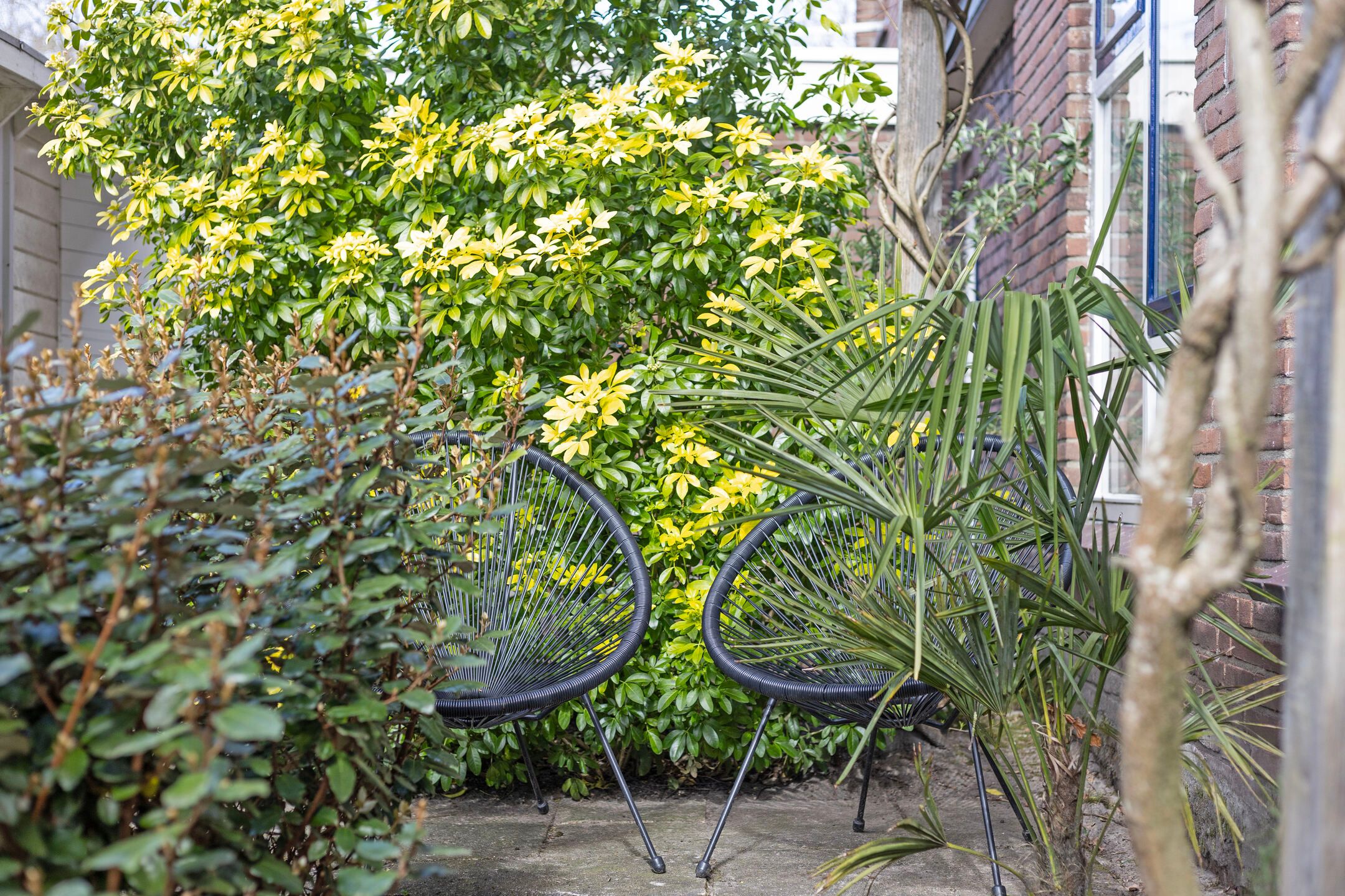 Foto 33 van Ruusbroecstraat 49