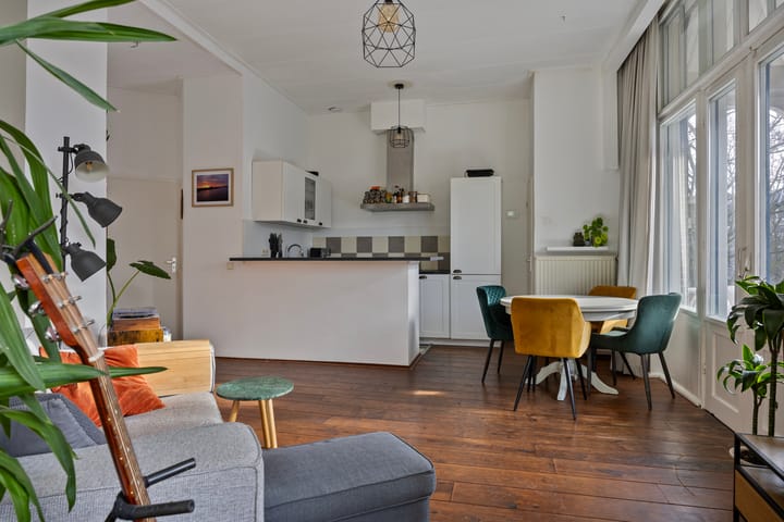 Foto 3 van Pontanusstraat 47-B