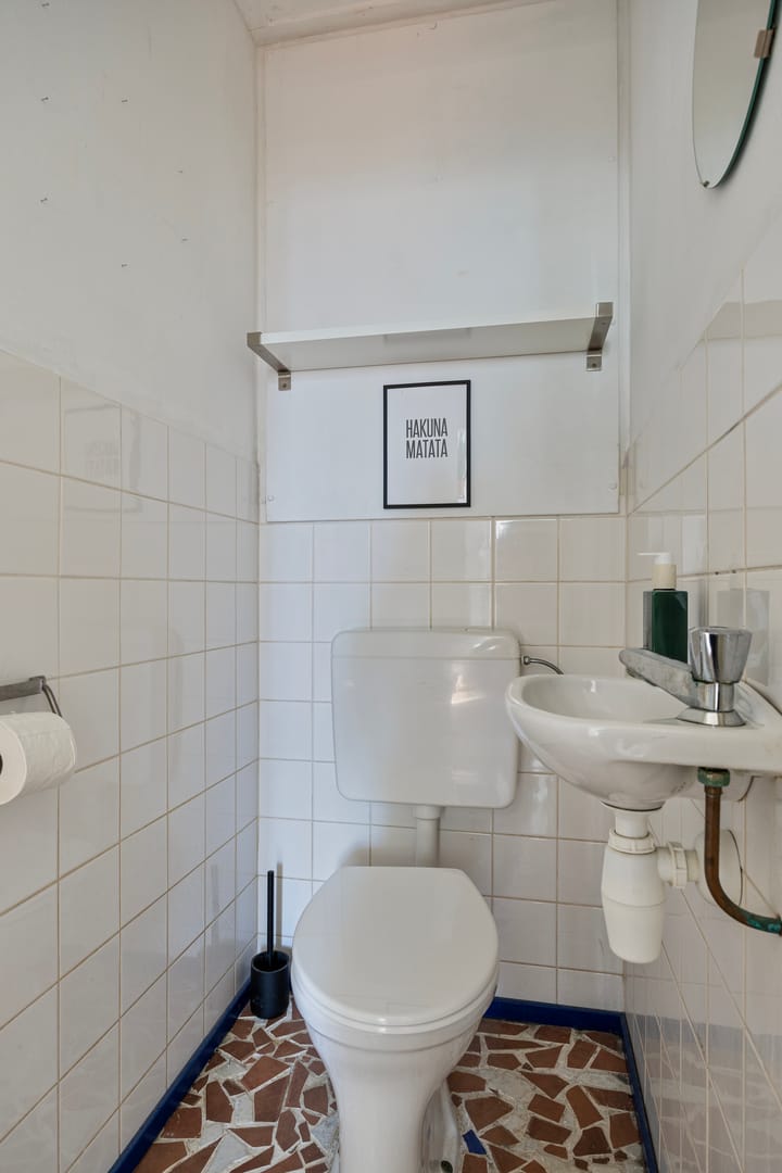 Photo 15 of Pontanusstraat 47-B