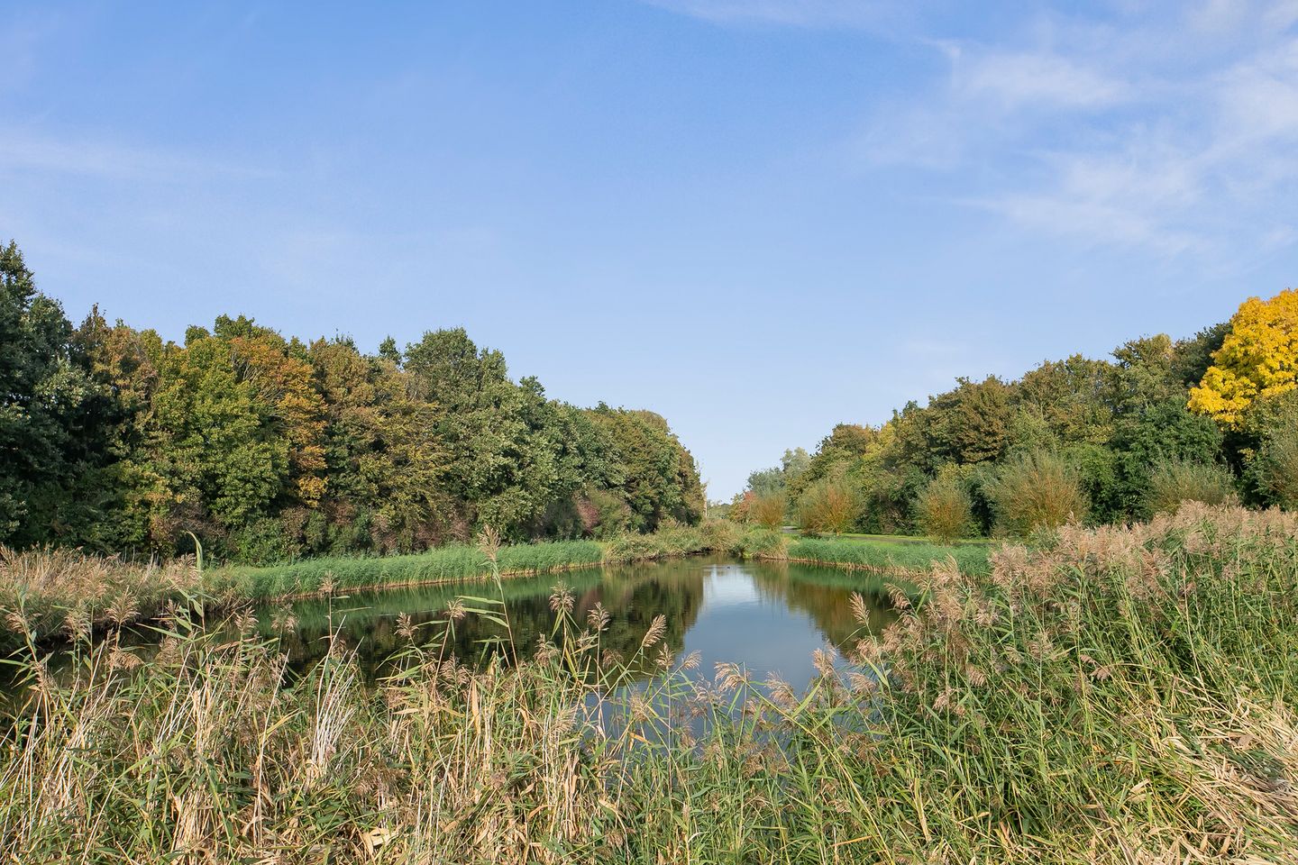 Foto 65 van Meerkoetlaan 3