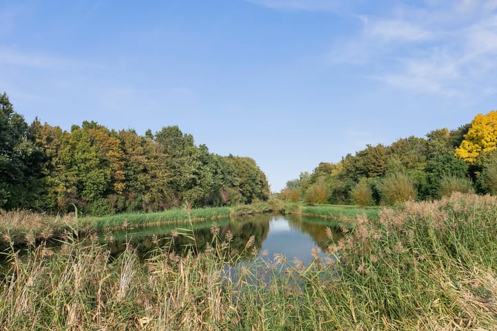 Foto 65 van Meerkoetlaan 3