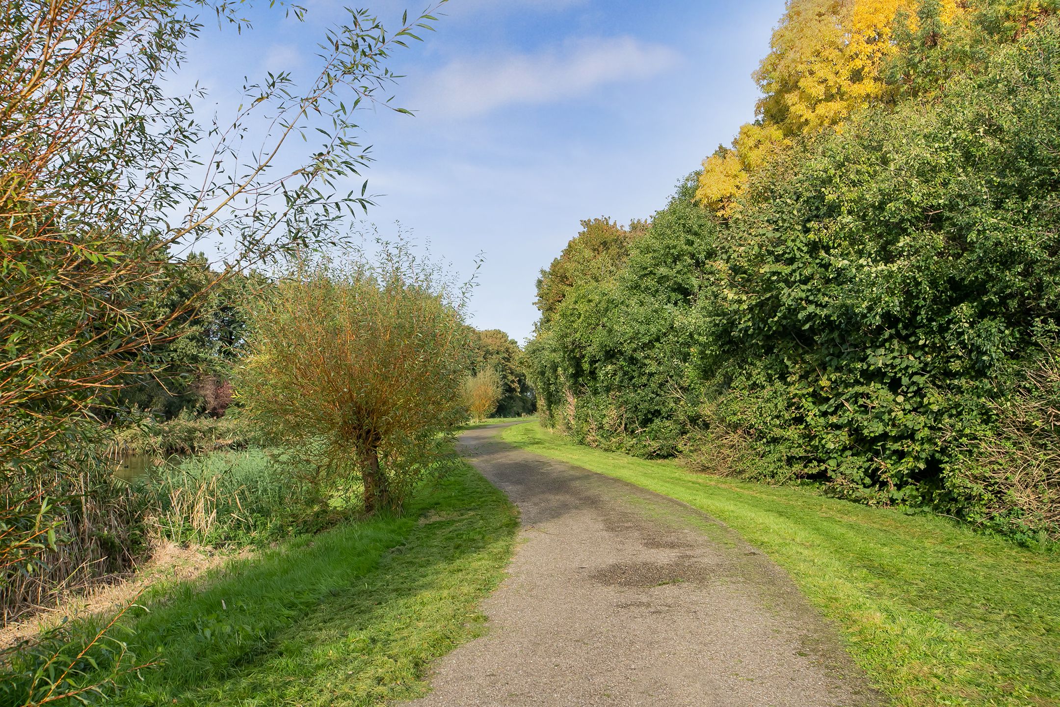 Foto 66 van Meerkoetlaan 3