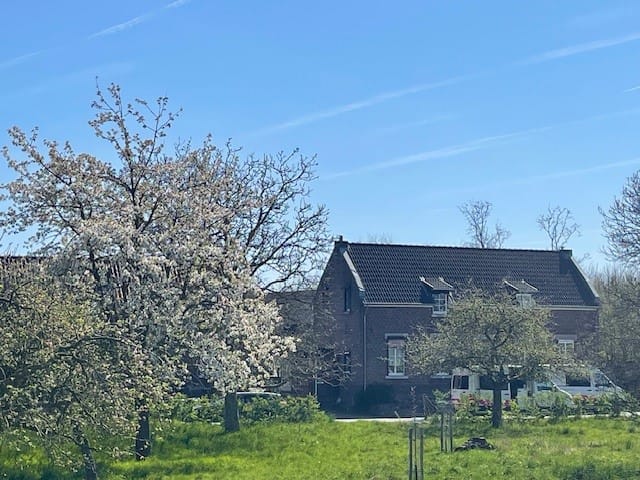 Foto 1 van Aan de Maas 14