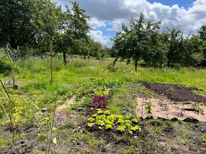 Foto 6 van Aan de Maas 14