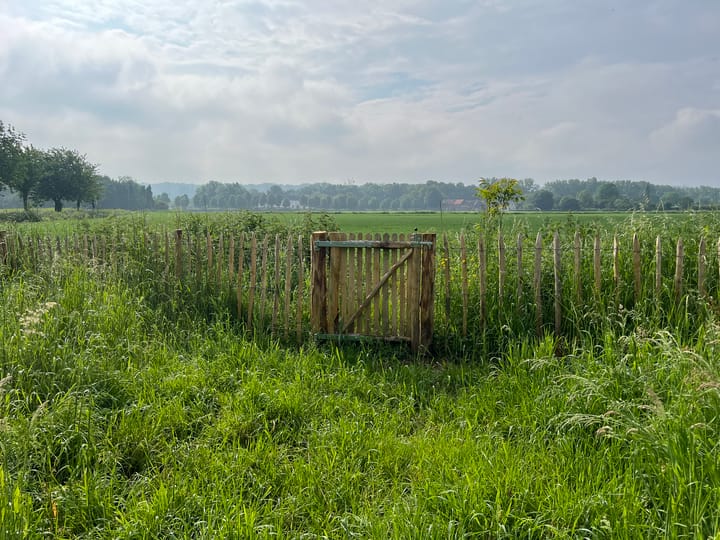 Foto 8 van Aan de Maas 14