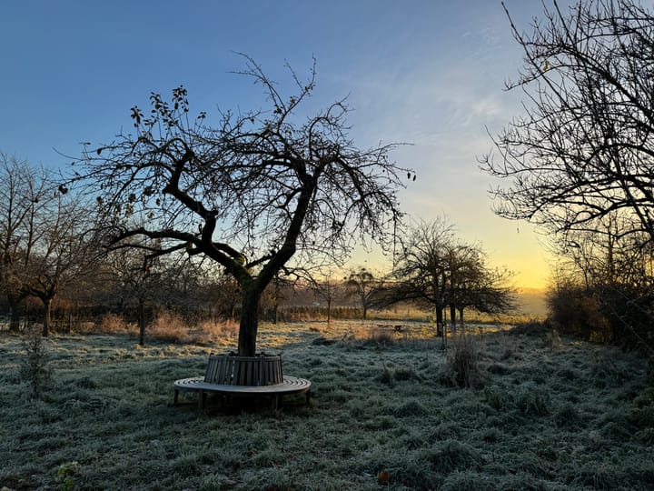 Foto 16 van Aan de Maas 14