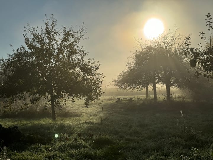 Foto 17 van Aan de Maas 14