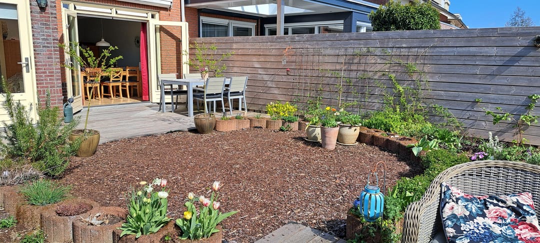 Foto 32 van Ruisvoorn 20