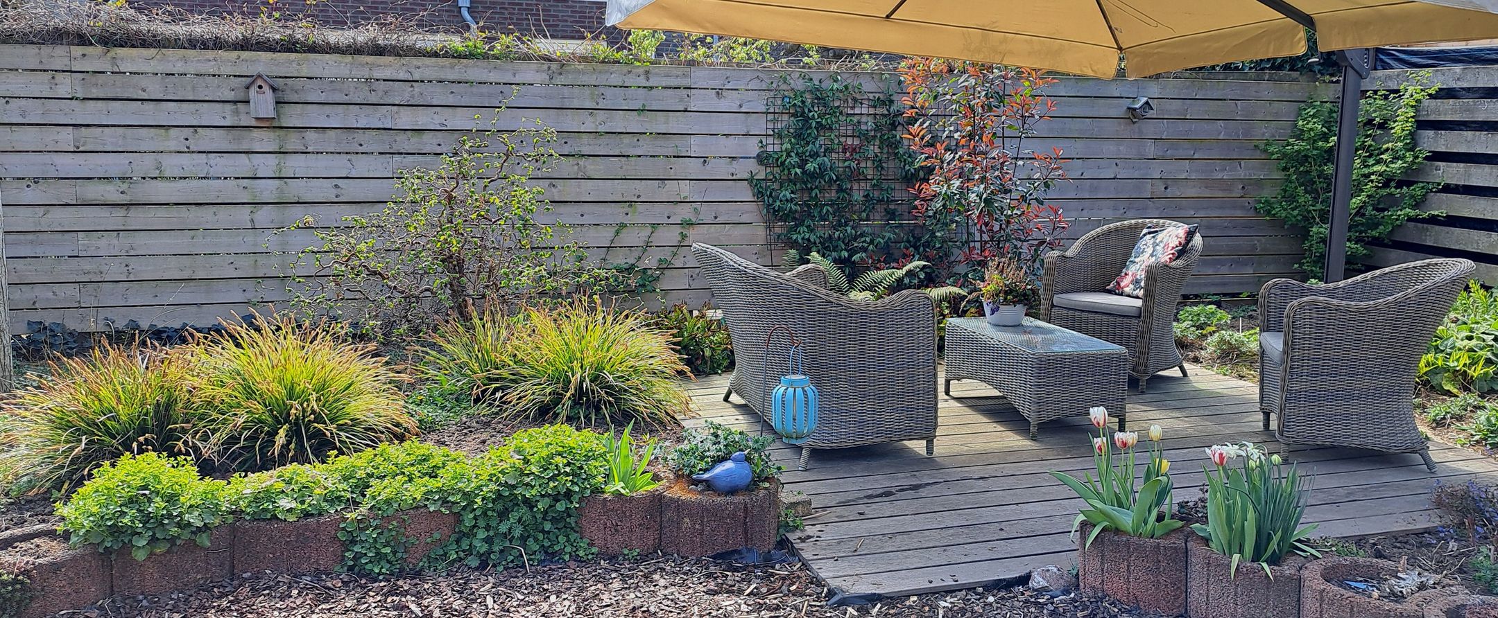 Foto 33 van Ruisvoorn 20