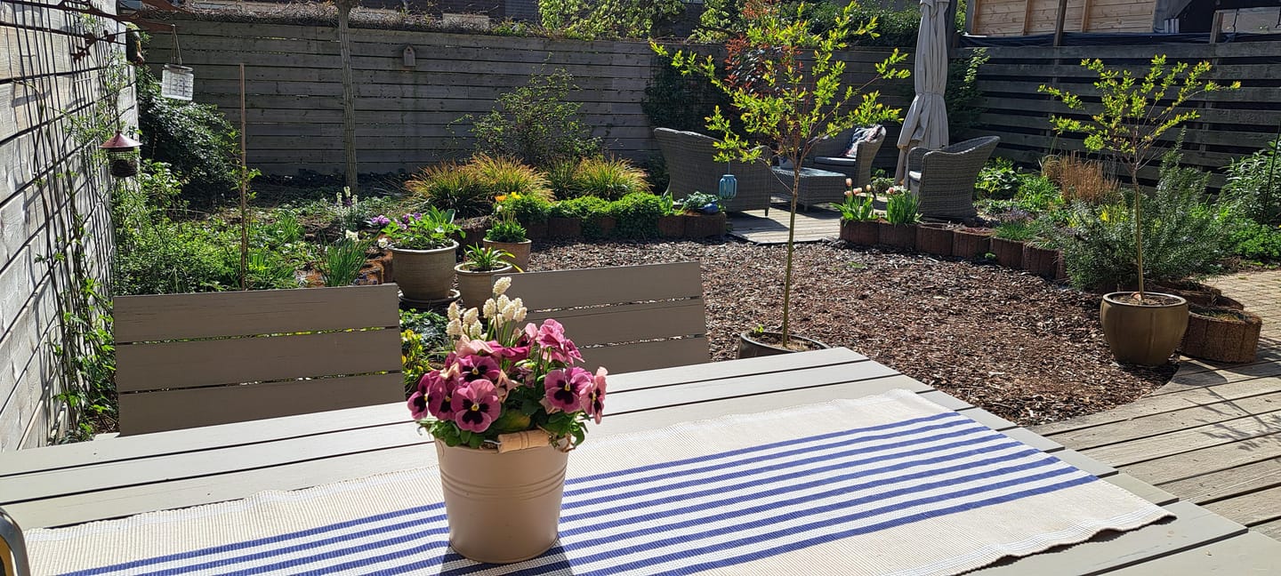 Foto 34 van Ruisvoorn 20