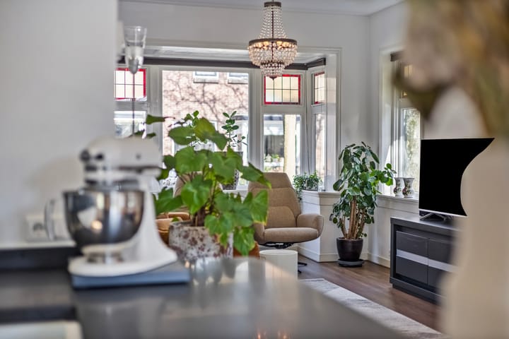 Foto 11 van Frans Halslaan 7