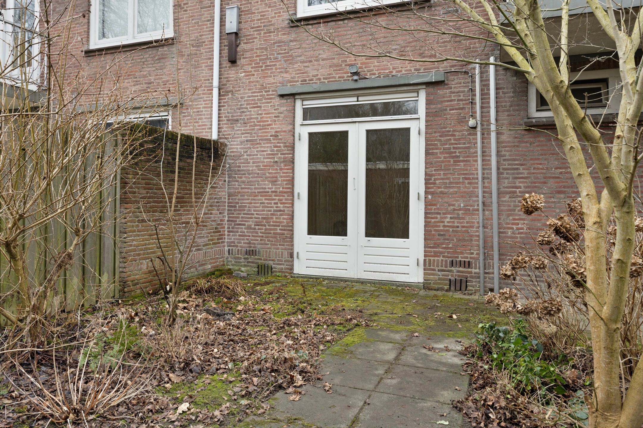 Foto 24 van Petrus Dondersstraat 177