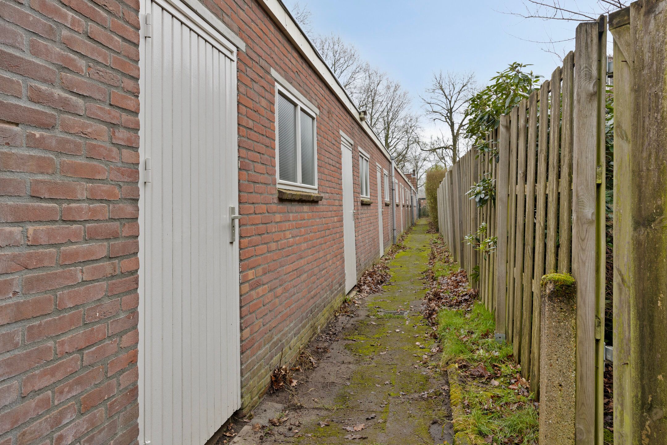 Foto 27 van Petrus Dondersstraat 177