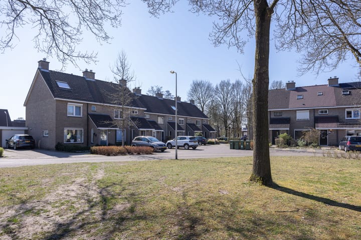 Foto 6 van Roelf Bosmastraat 205