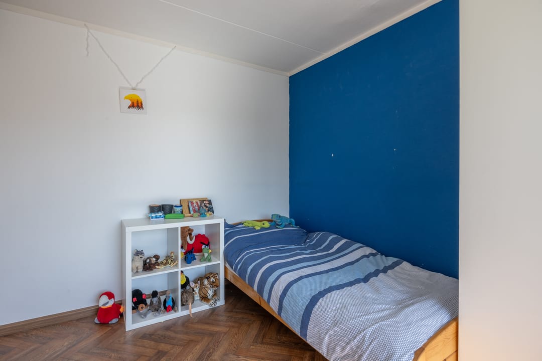 Foto 28 van Roelf Bosmastraat 205