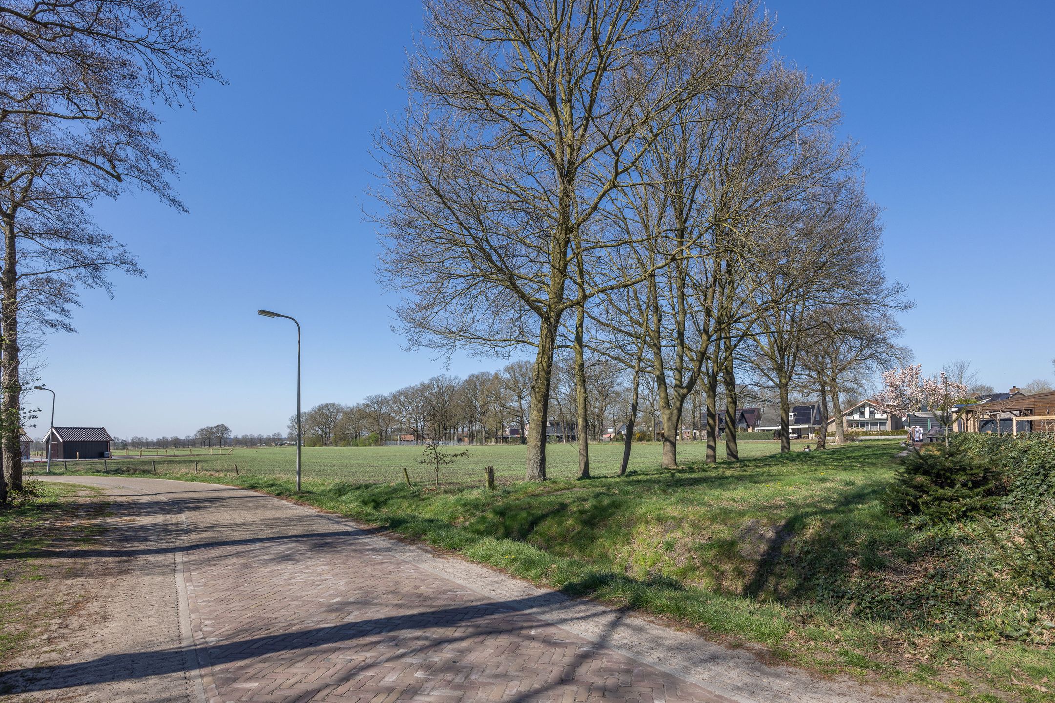 Foto 45 van Roelf Bosmastraat 205