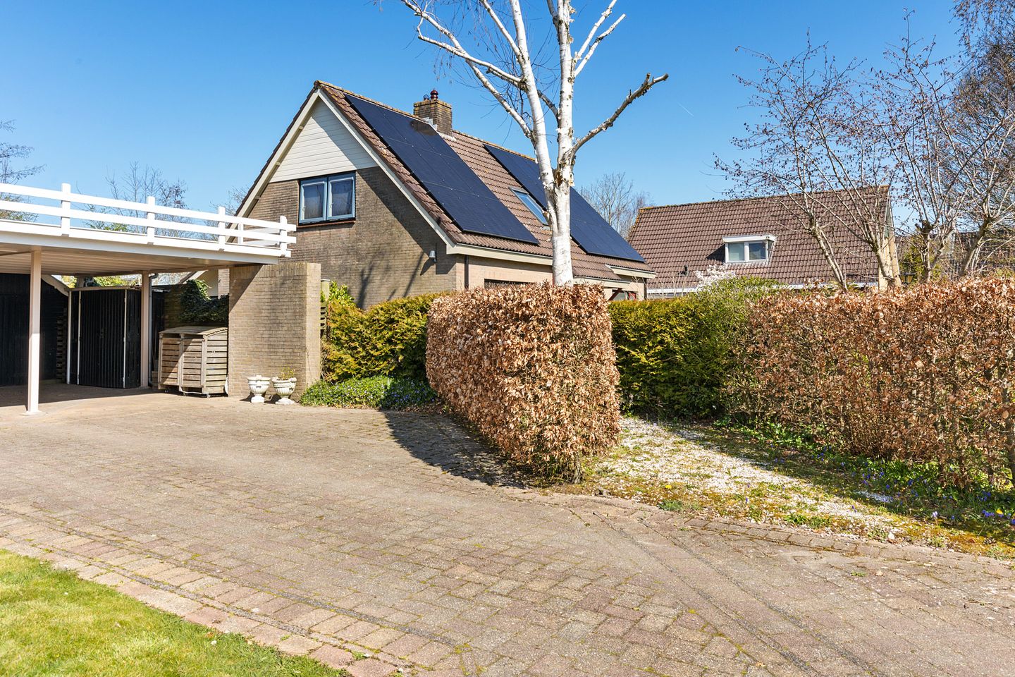 Photo 10 of Buorren 11