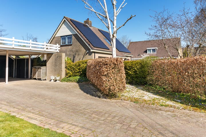 Photo 10 of Buorren 11