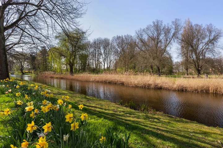 Foto 39 van Soldanellestraat 17