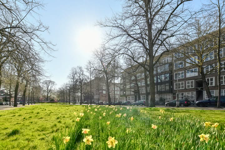 Foto 4 van Apollolaan 75-1