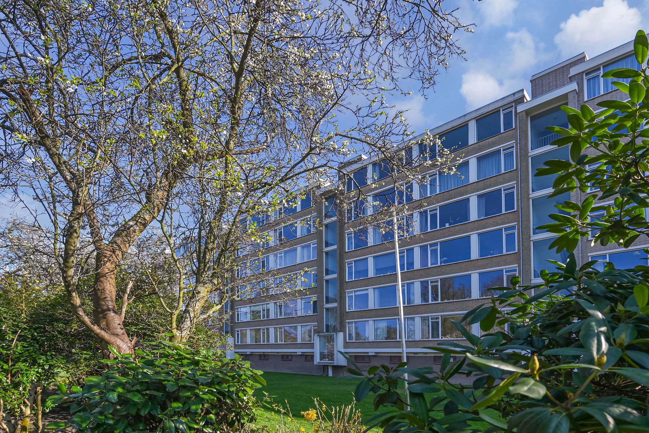 Foto 6 van Cornelie van Zantenstraat 146