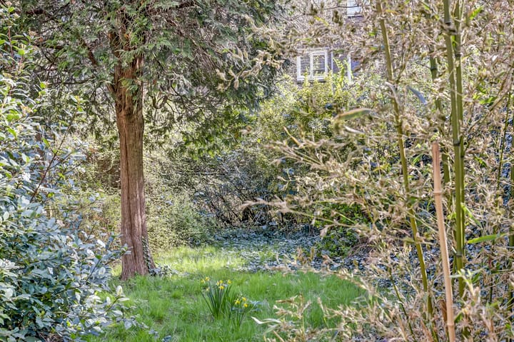 Photo 25 of Lepelaarsingel 102-A