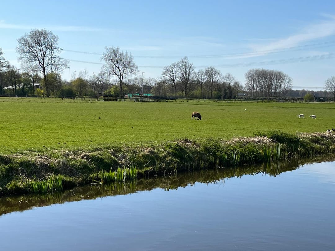 Foto 37 van Van Beethovenlaan 91