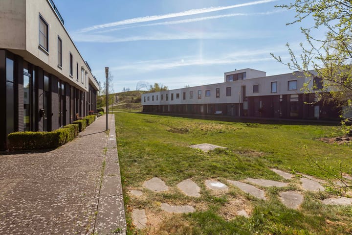 Foto 5 van Vuurvlinder 48