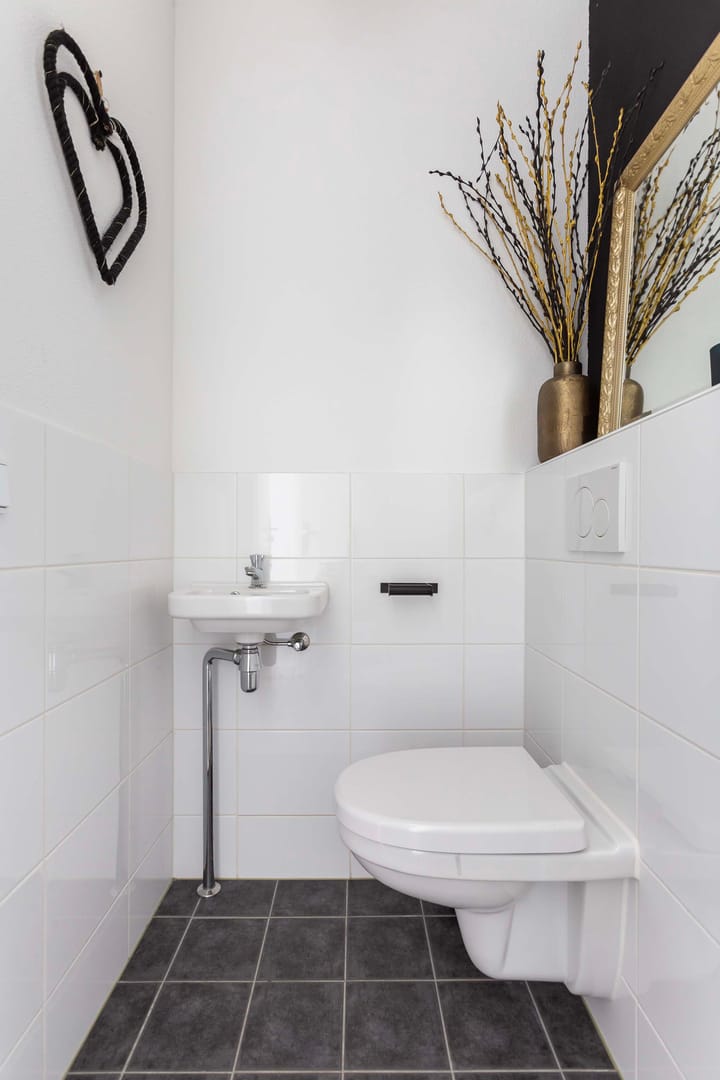 Foto 7 van Vuurvlinder 48