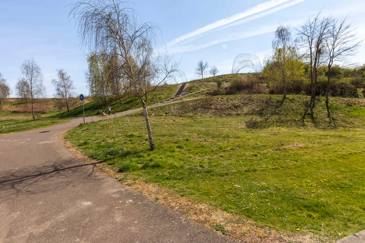 Foto 28 van Vuurvlinder 48