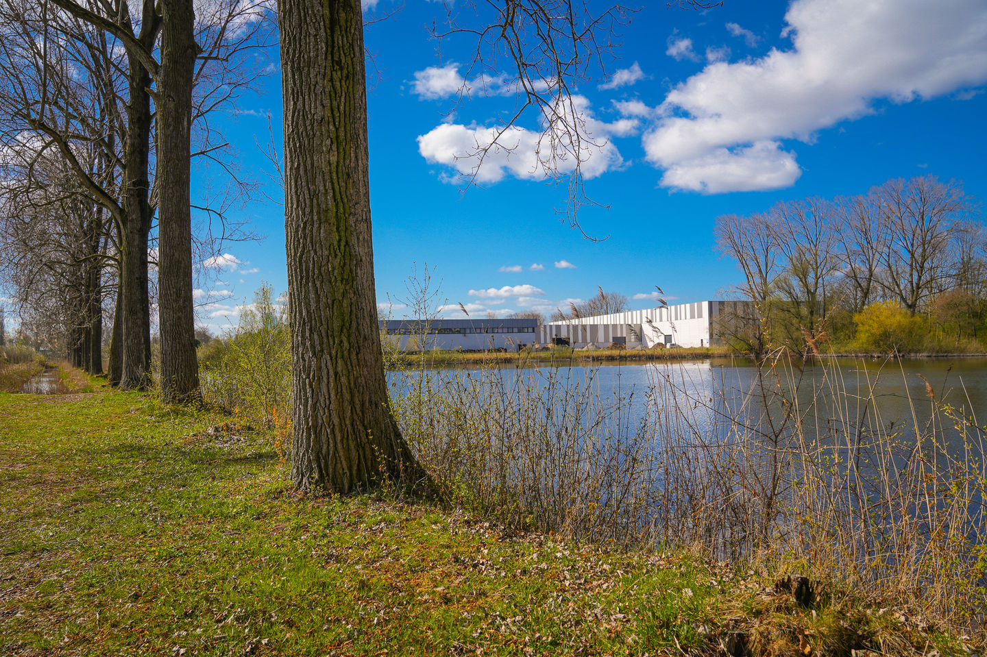 Photo 29 of Heuvel 99