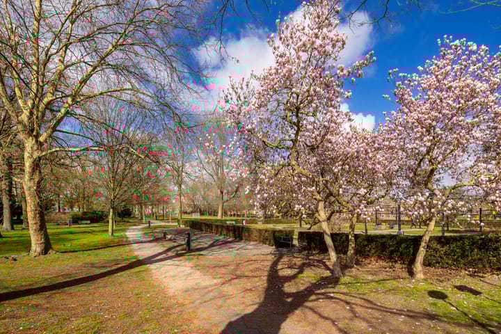 Foto 33 van Vleutenseweg 224-A