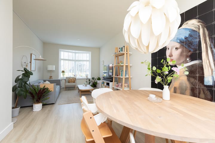 Foto 7 van Oppenhuizerweg 29