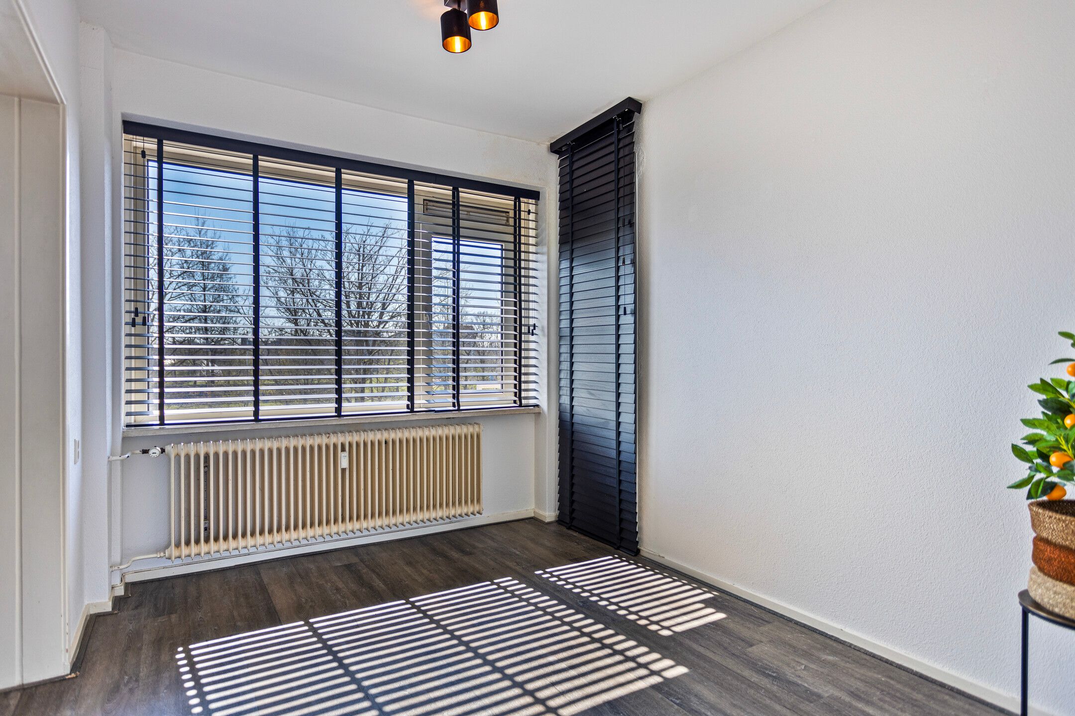 Foto 3 van Hazelaarlaan 65