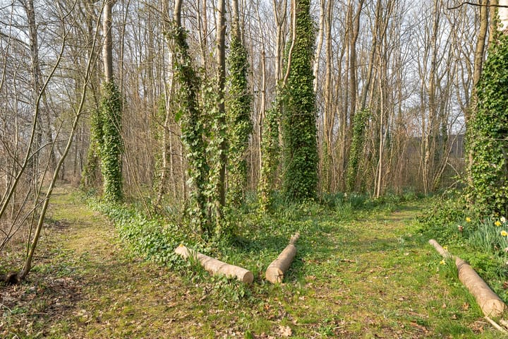 Foto 32 van Verkavelingsweg 5