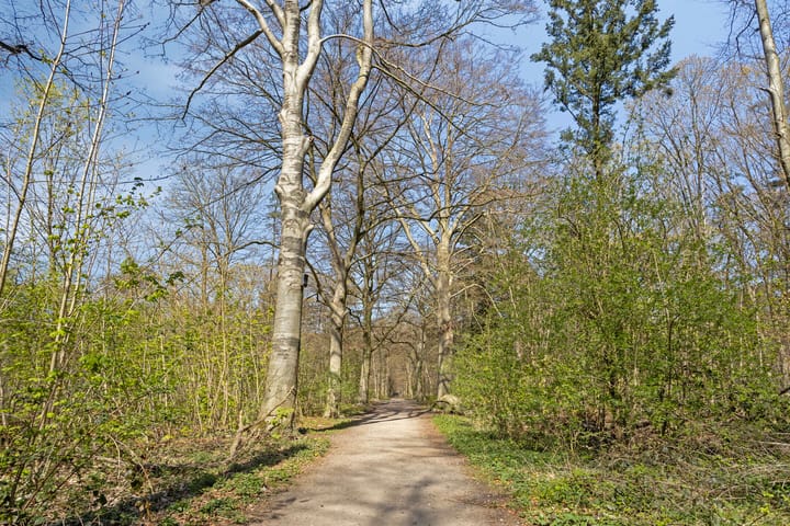 Foto 36 van Kasteel Nemerlaerstraat 18