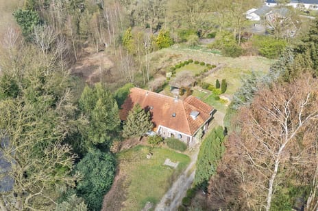 undefined main image