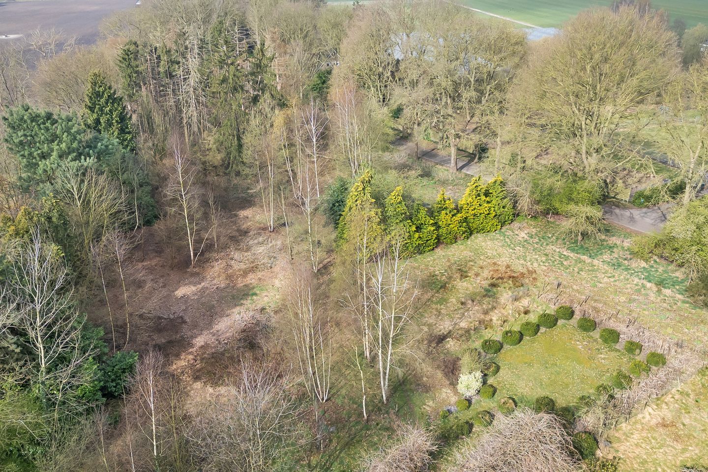 Foto 5 van Vossebelt 43