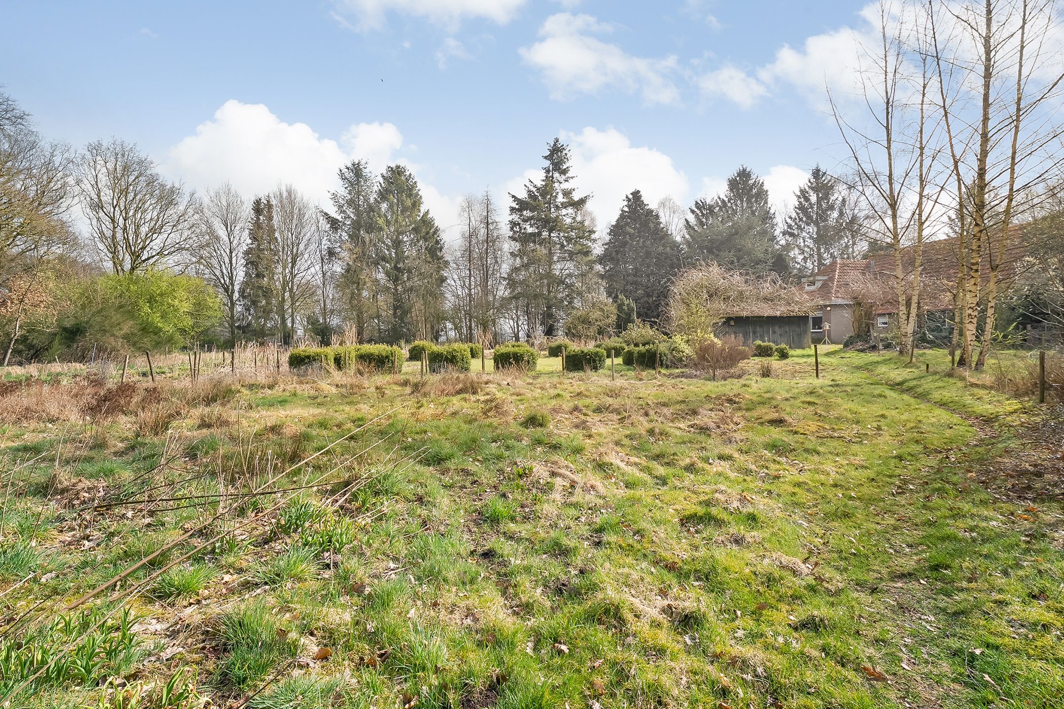 Foto 45 van Vossebelt 43