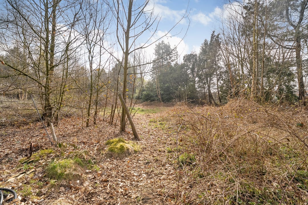 Foto 47 van Vossebelt 43