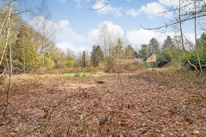 Foto 48 van Vossebelt 43