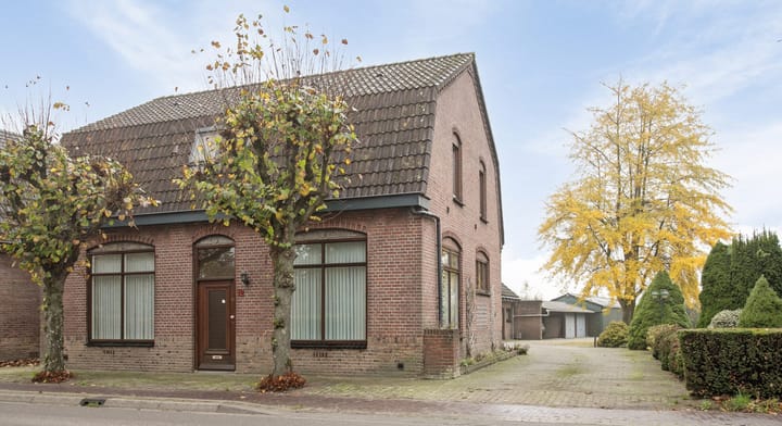undefined main image