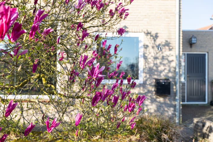 Foto 10 van Oude Kerkstraat 8