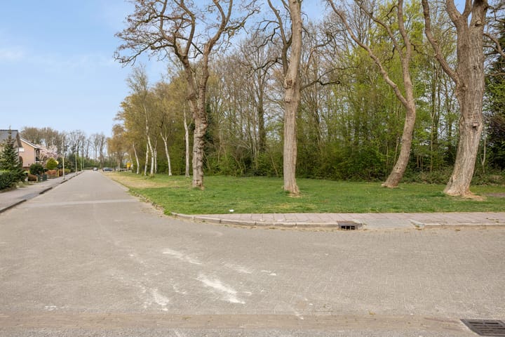 Photo 43 of Parkstraat 40